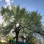 Prázdninový dům Sarajevo Flower Garden Vogošća