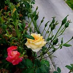 Prázdninový dům Sarajevo Flower Garden