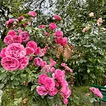 Sarajevo Flower Garden Prázdninový dům Vogošća
