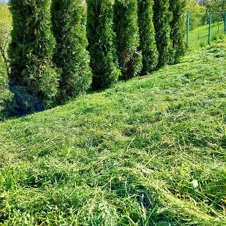 Sarajevo Flower Garden Prázdninový dům