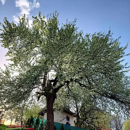 Prázdninový dům Sarajevo Flower Garden Vogošća