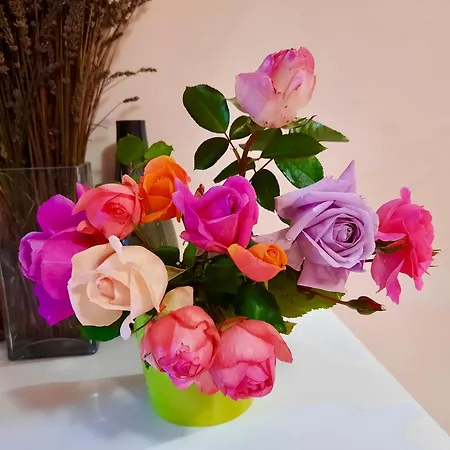 Sarajevo Flower Garden * Vogošća