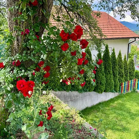 Sarajevo Flower Garden - Entire House & Private Garden בית נופש