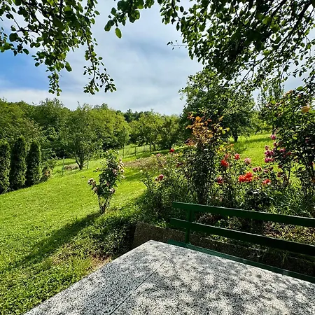 Sarajevo Flower Garden * Vogošća